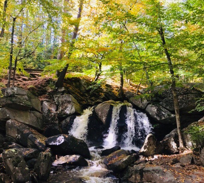 Willard Brook State Forest, Massachusetts, USA